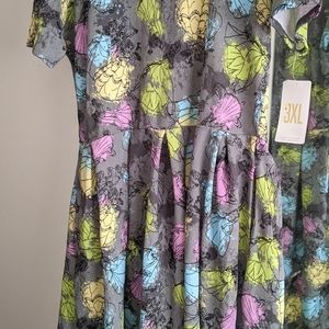 LuLaRoe Disney princess Amelia Dress